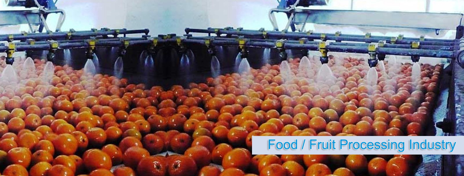food-fruit-processing